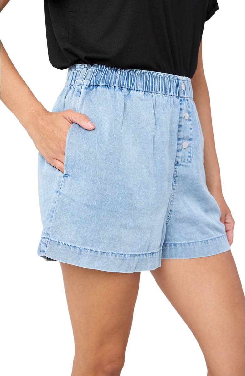 TT Studios Rocky Boxer Short, Alternate, color, Canal St.