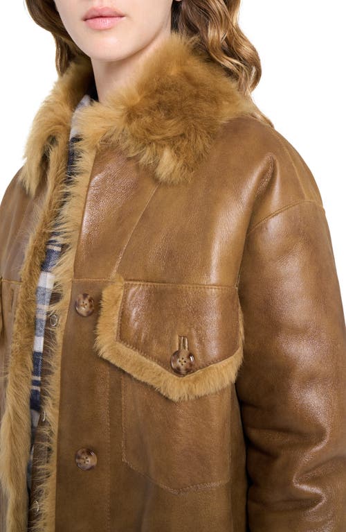 Twp Reversible Oversized Genuine Shearling Jacket In Brown