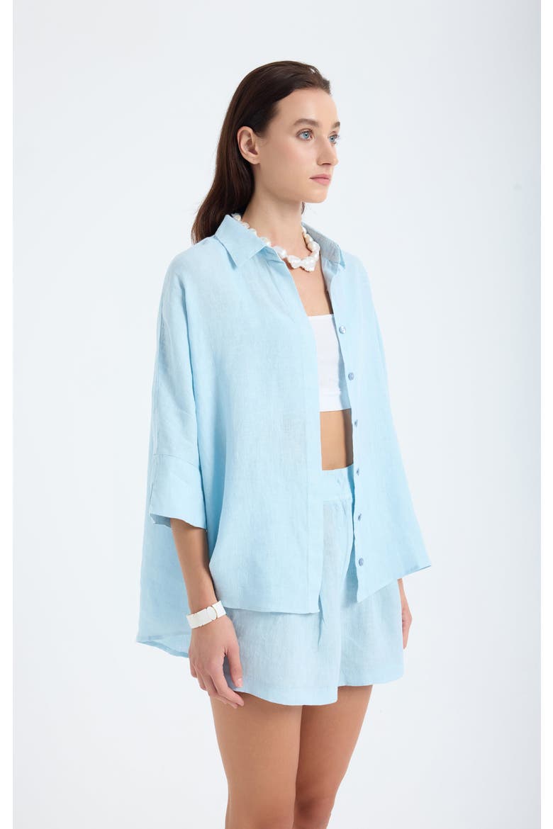 Iyan 100% Linen Oversize Shirt, Alternate, color, Blue