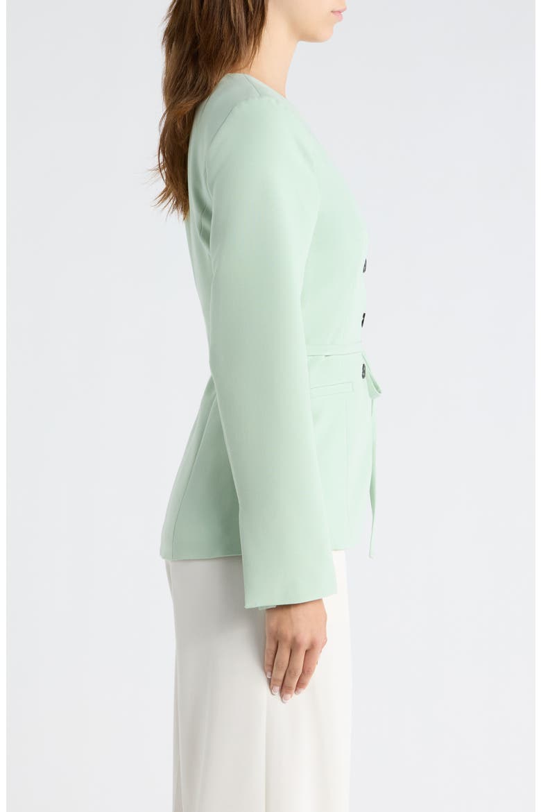 Parker Belted Jacket, Alternate, color, MINT