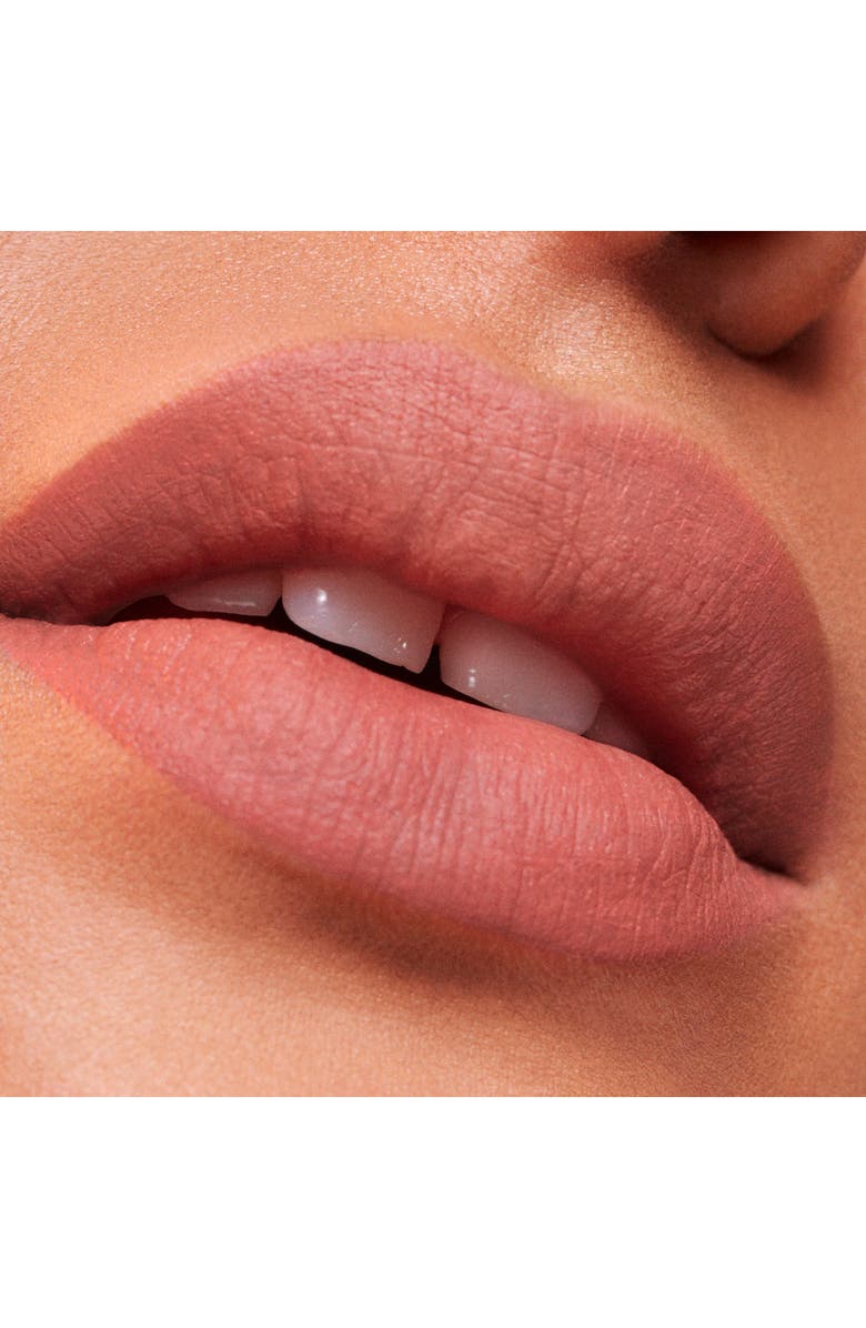 Estée Lauder Pure Color Whipped Matte Lipstick Color with Moringa Butter, Alternate, color,