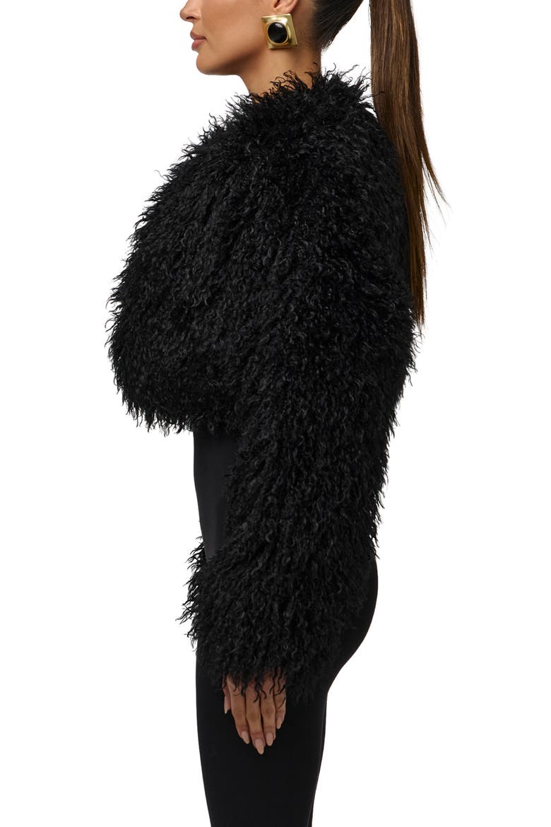 Faux Fur Plush Cropped Jacket, Alternate, color, BLACK