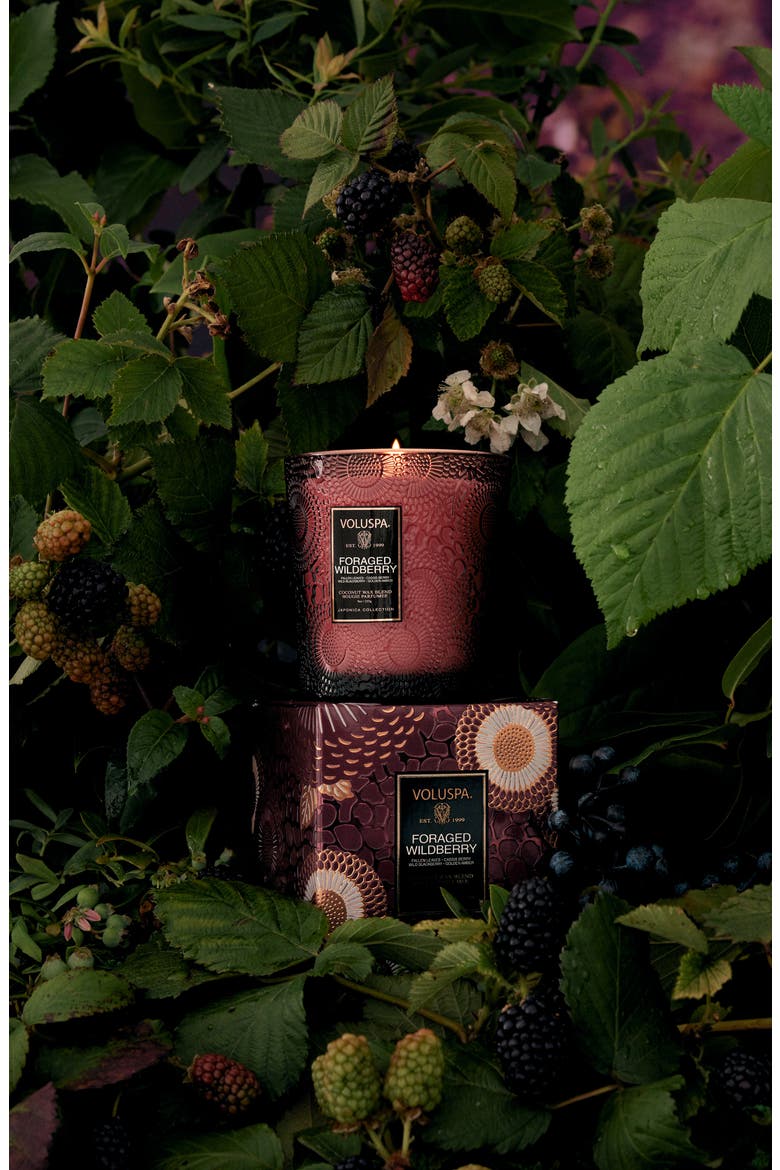 Foraged Wildberry Boxed Classic Candle, Alternate, color, FORAGED WILDBERRY