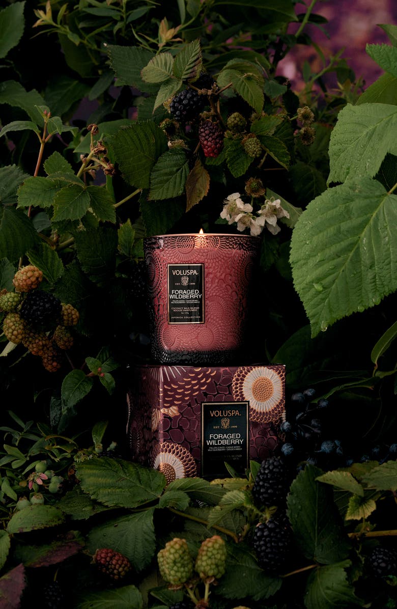 Voluspa Foraged Wildberry Boxed Classic Candle, Alternate, color, Foraged Wildberry