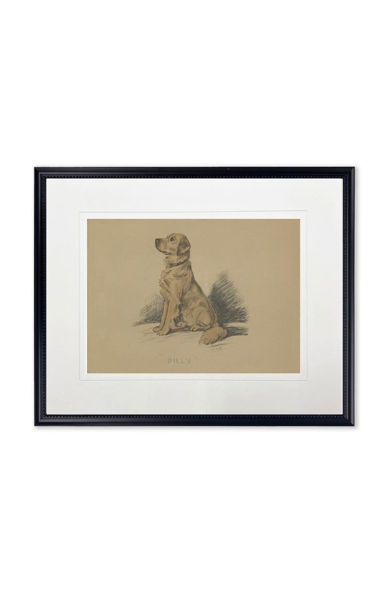 Antique Curiosities Sitting Dog Sketch Print in Black Frame, Main, color, Multi
