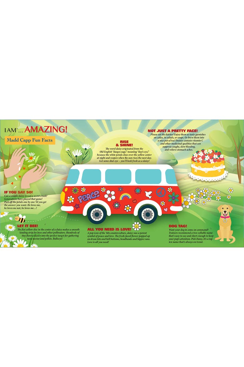 I Am Daisy 350 Piece Jigsaw Puzzle 23X23 Inch, Alternate, color, Multicolored