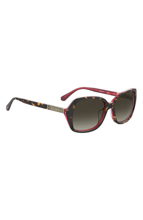 Kate Spade New York Yvette 54mm Gradient Polarized Square Sunglasses In Brown