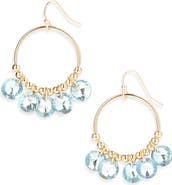 Cara Crystal Hoop Earrings