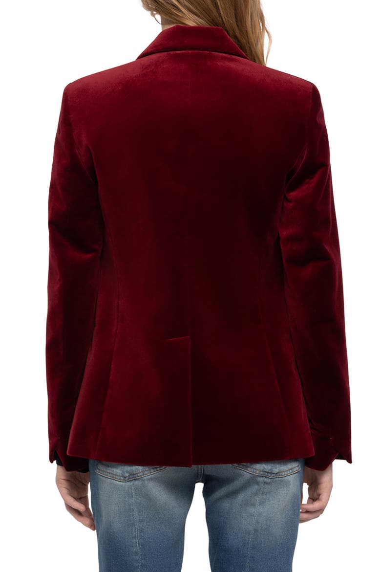 Vavy Velvet Blazer, Alternate, color, CHERRY