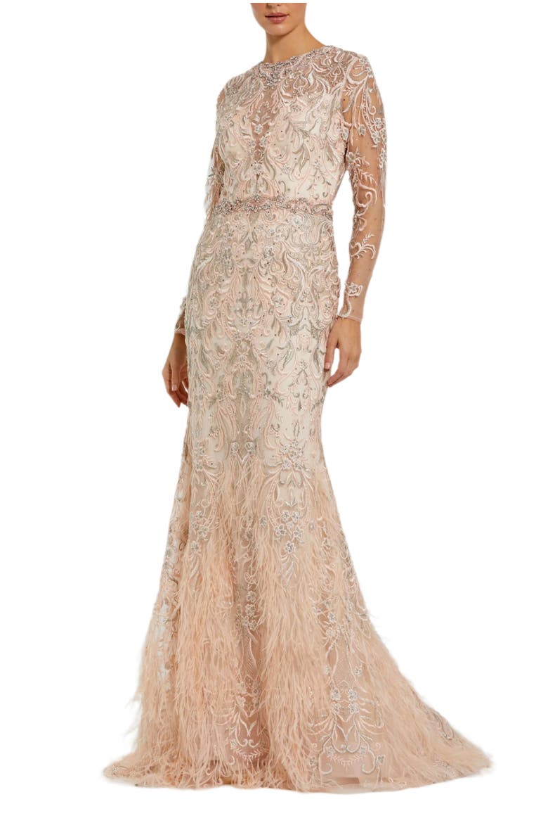 Embroidered Illusion Long Sleeve Trumpet Gown, Main, color, Blush