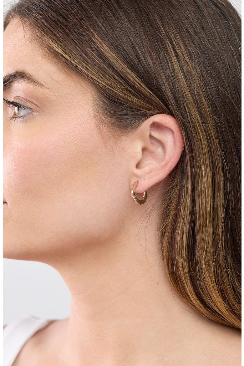14k Gold Flat Rope Hoop Earrings, Alternate, color, 14K YELLOW GOLD
