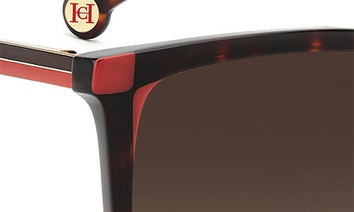 Carolina Herrera 54mm Square Sunglasses In Brown