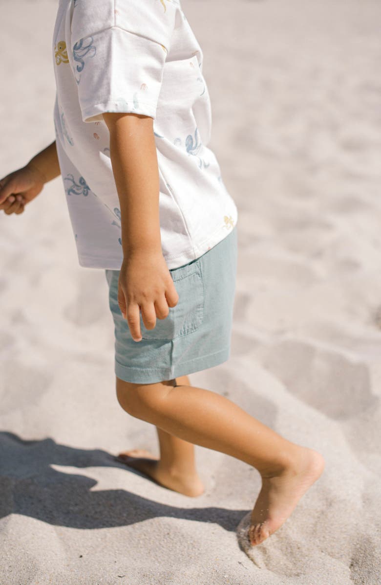 Pehr Garment Dye Shorts, Alternate, color, Deep Sea