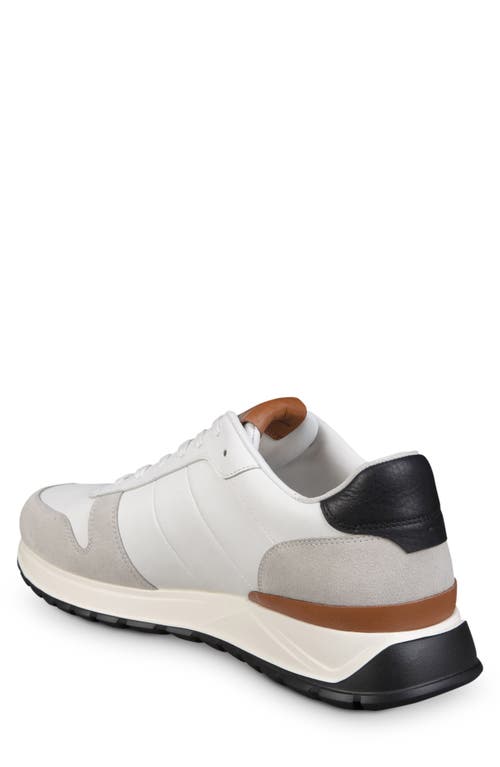 Allen Edmonds Lawson Sneaker In White