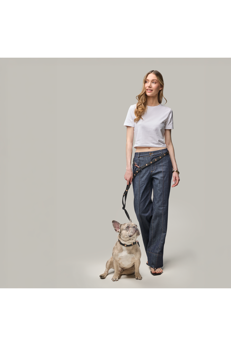 Metro Hands Free Leash, Alternate, color, Rockstar