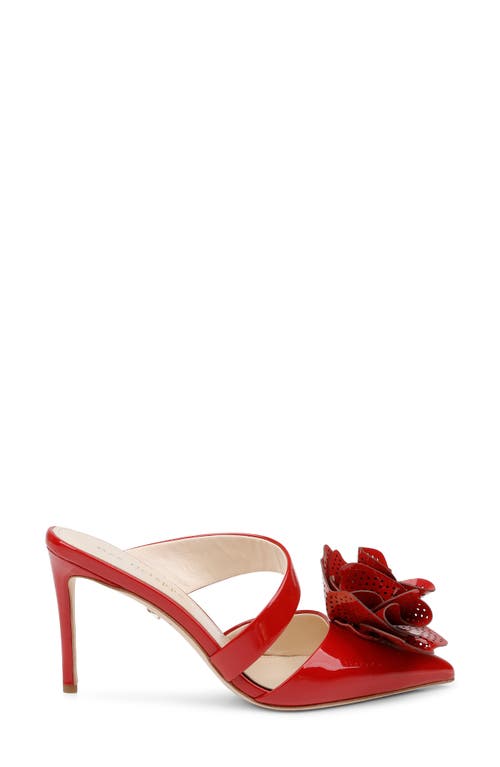 Dee Ocleppo Chicago Pointed Toe Mule In Red Patent