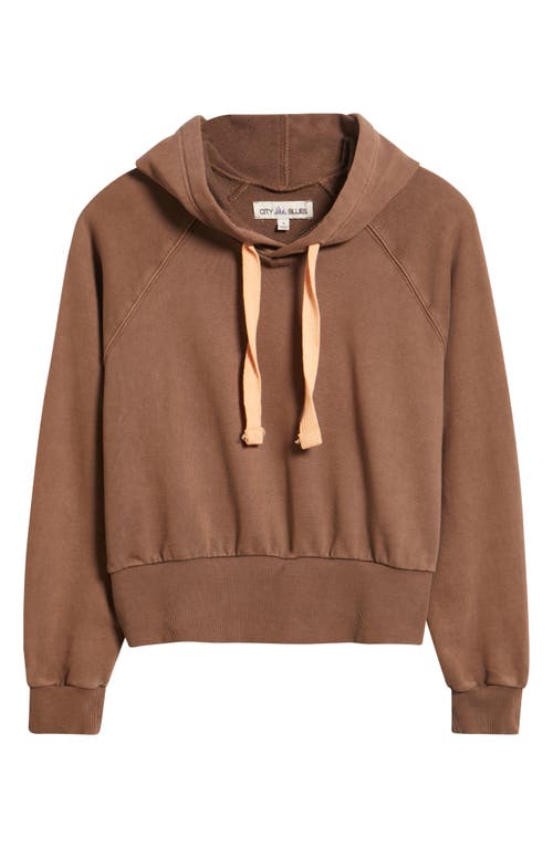 City Blues Crop Cotton Hoodie In Brown