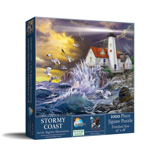 Stormy Coast 1000 piece Jigsaw Puzzle for Adults