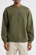 Carhartt Work In Progress Faded Ponds Corps Graphic Sweatshirt