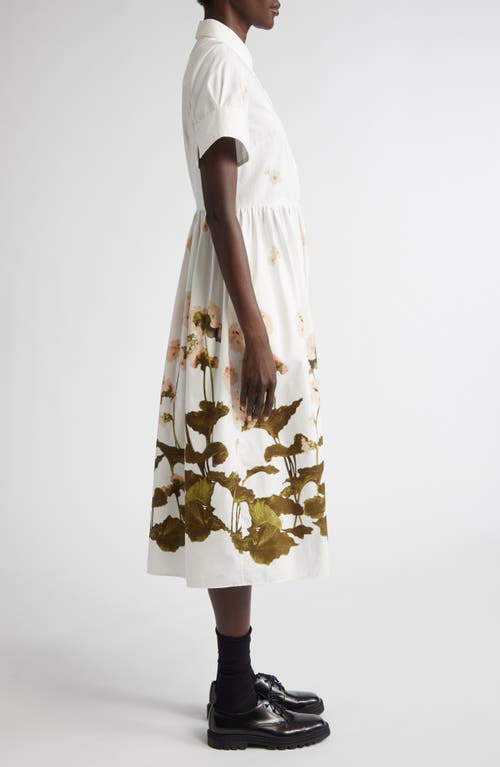 Shop Erdem Floral Print Cotton Poplin Shirtdress In Elena Selvedge White