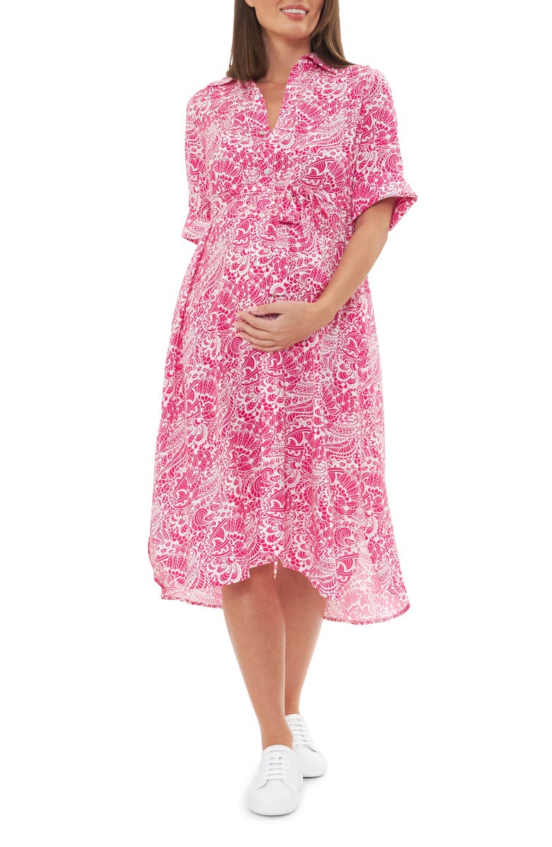 Ripe Maternity Janis Maternity Shirtdress, Main, color, 