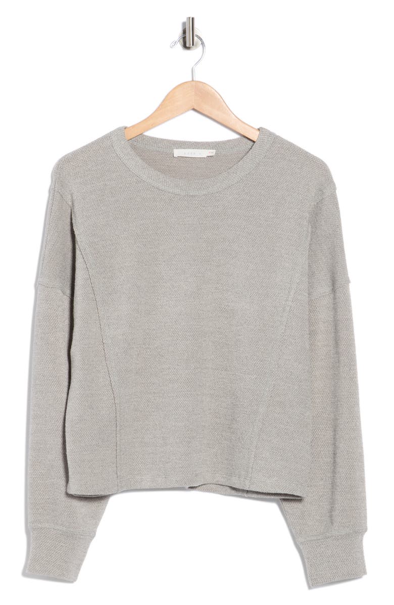 Lush Textured Knit Long Sleeve Shirt, Main, color, Light Grey