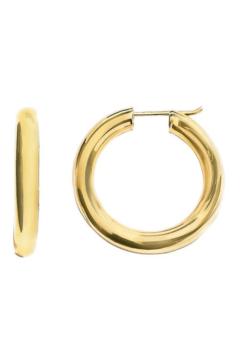 Chubby Hoop Earrings