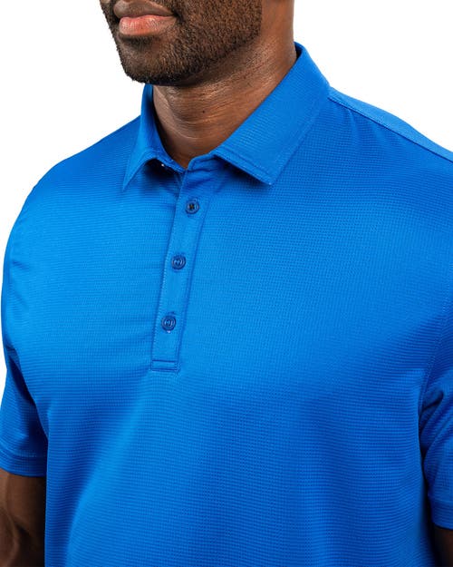 Black Clover Tubbs Polo In Blue