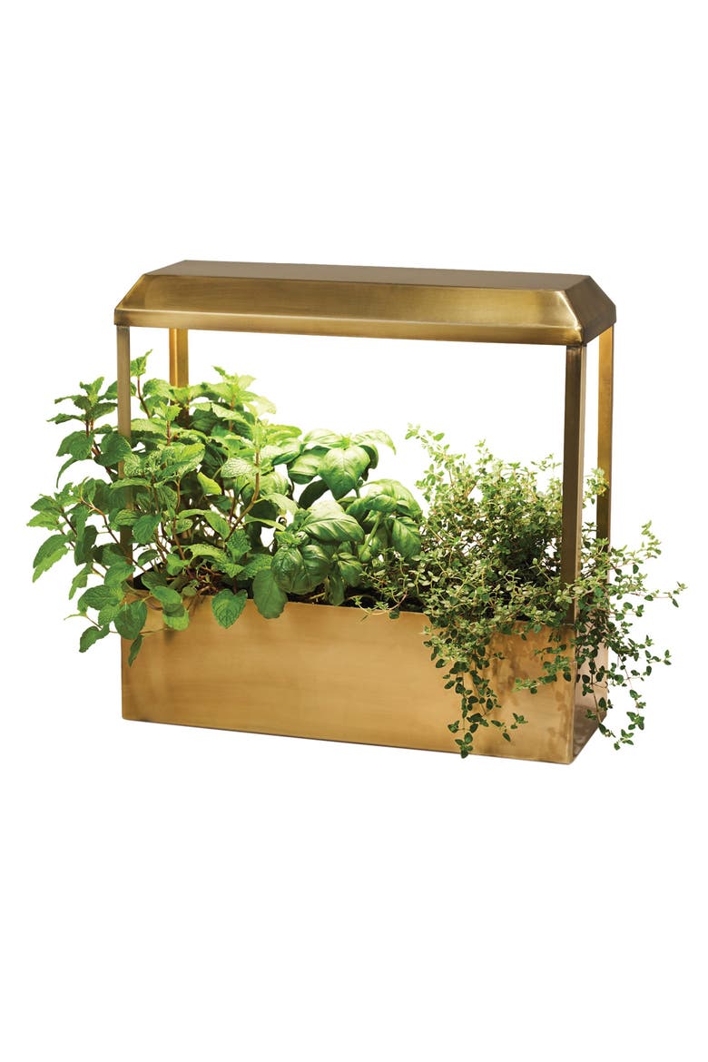 Smart Growhouse, Main, color, ANTIQUE BRASS