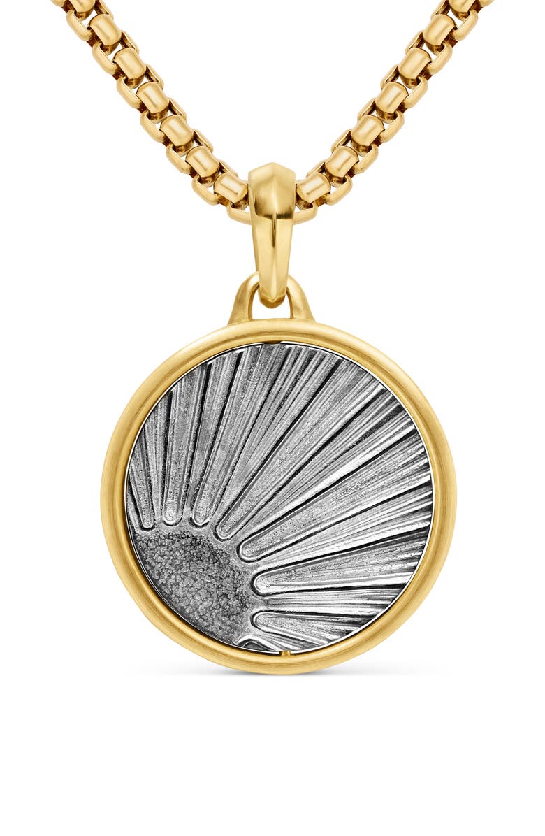 David Yurman Storm Duality Amulet in Sterling Silver with 18K Yellow Gold, Alternate, color, Sterling Silver With 18K Gold