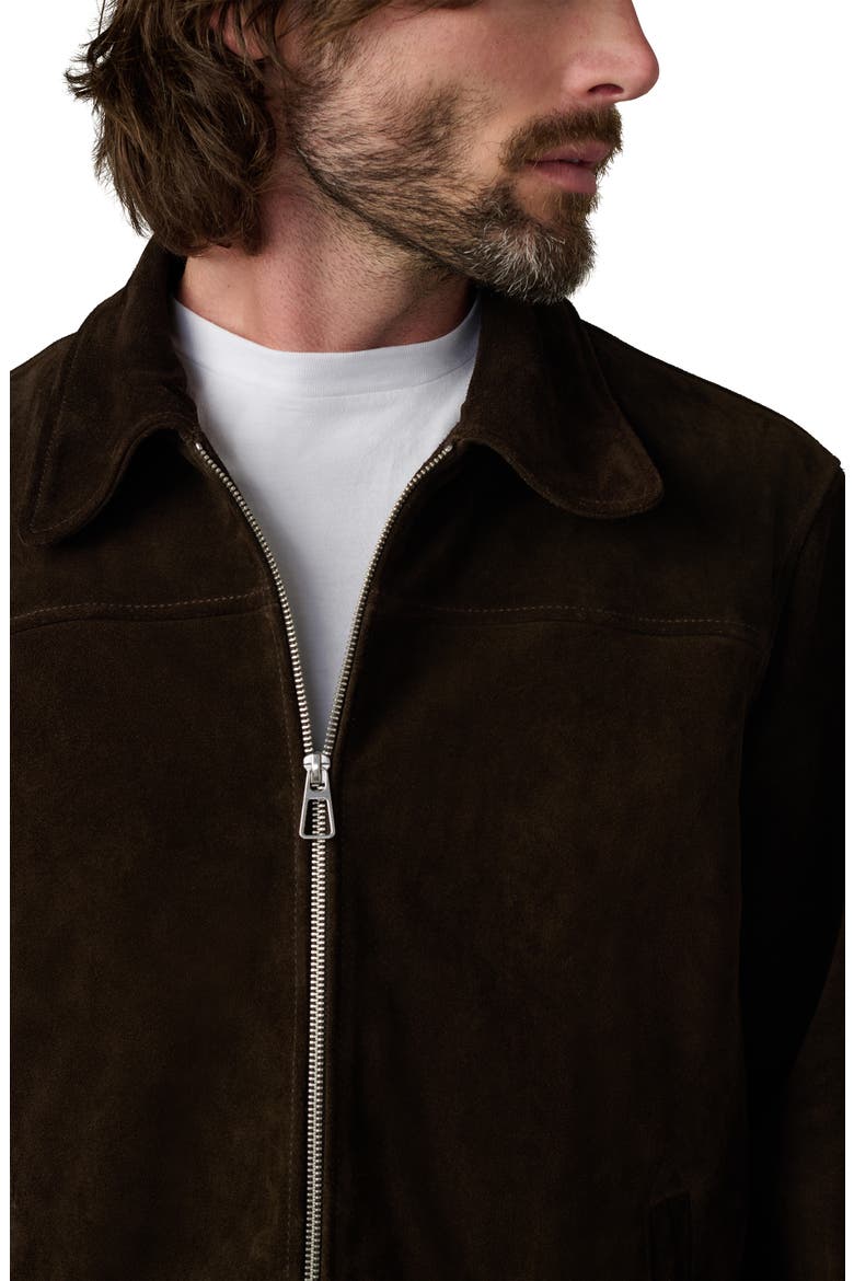 Suede Zip Jacket, Alternate, color, WREN