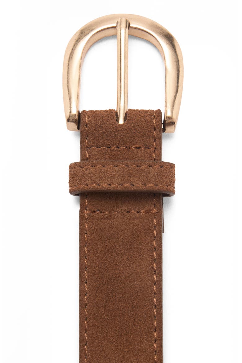 Suede Belt, Alternate, color, BROWN