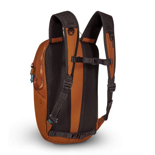 Shop Pacsafe Eco 18l Anti Theft Backpack In Econyl Canyon