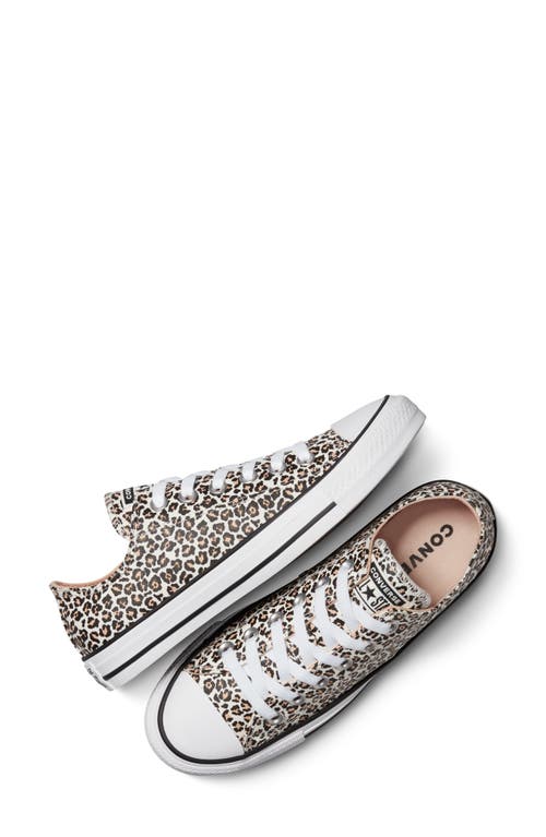 Converse Gender Inclusive Chuck Taylor All Star Leopard Spot Canvas Low Top Sneaker In Animal Print