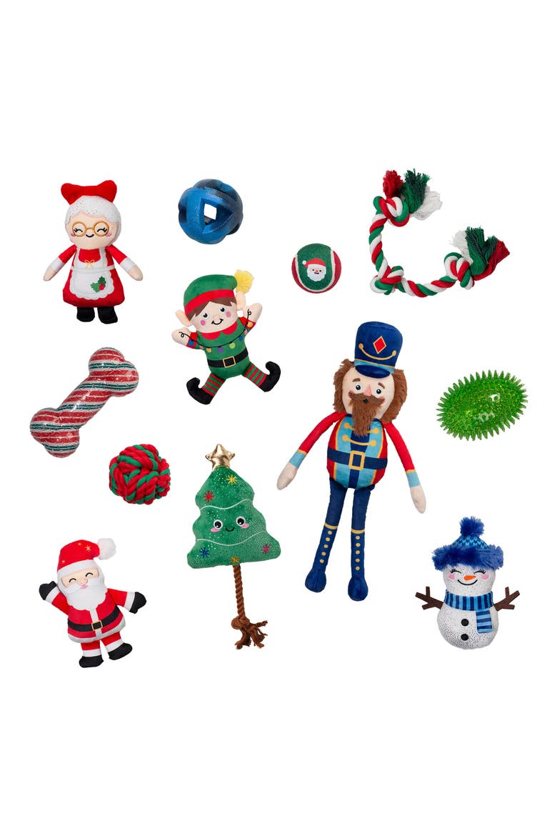 Furry Lil Christmas Pet 12 Gifts Calendar, Alternate, color, BLUE