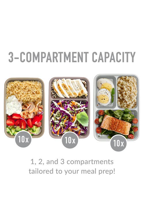 Bentgo 60-piece Meal Prep & Lunch Bag Set In Pink