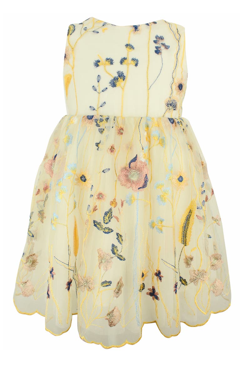 Embroidered Tulle Dress, Main, color, CREAM