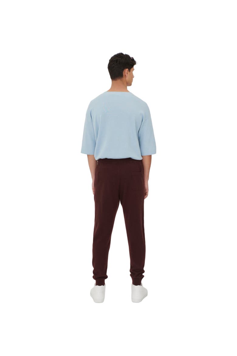 Men's Cashmere Jogger, Alternate, color, decadent chocolate