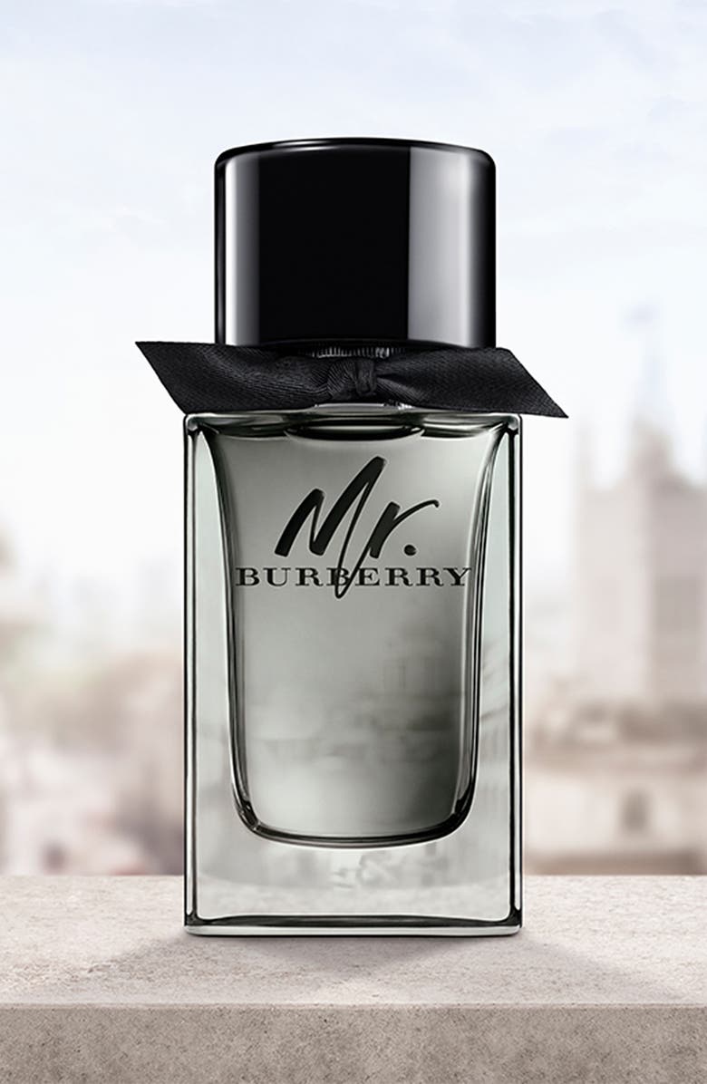 Burberry Mr. Burberry Eau de Toilette, Alternate, color, 