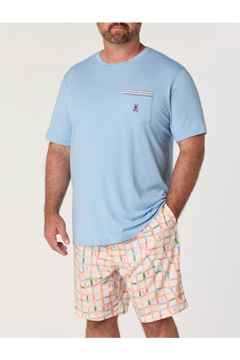 Big & Tall Rory Pocket T-Shirt, Alternate, color, GLACIER LAKE