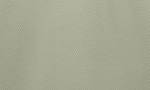 Asrv Aerosilver® Established Tee In Green