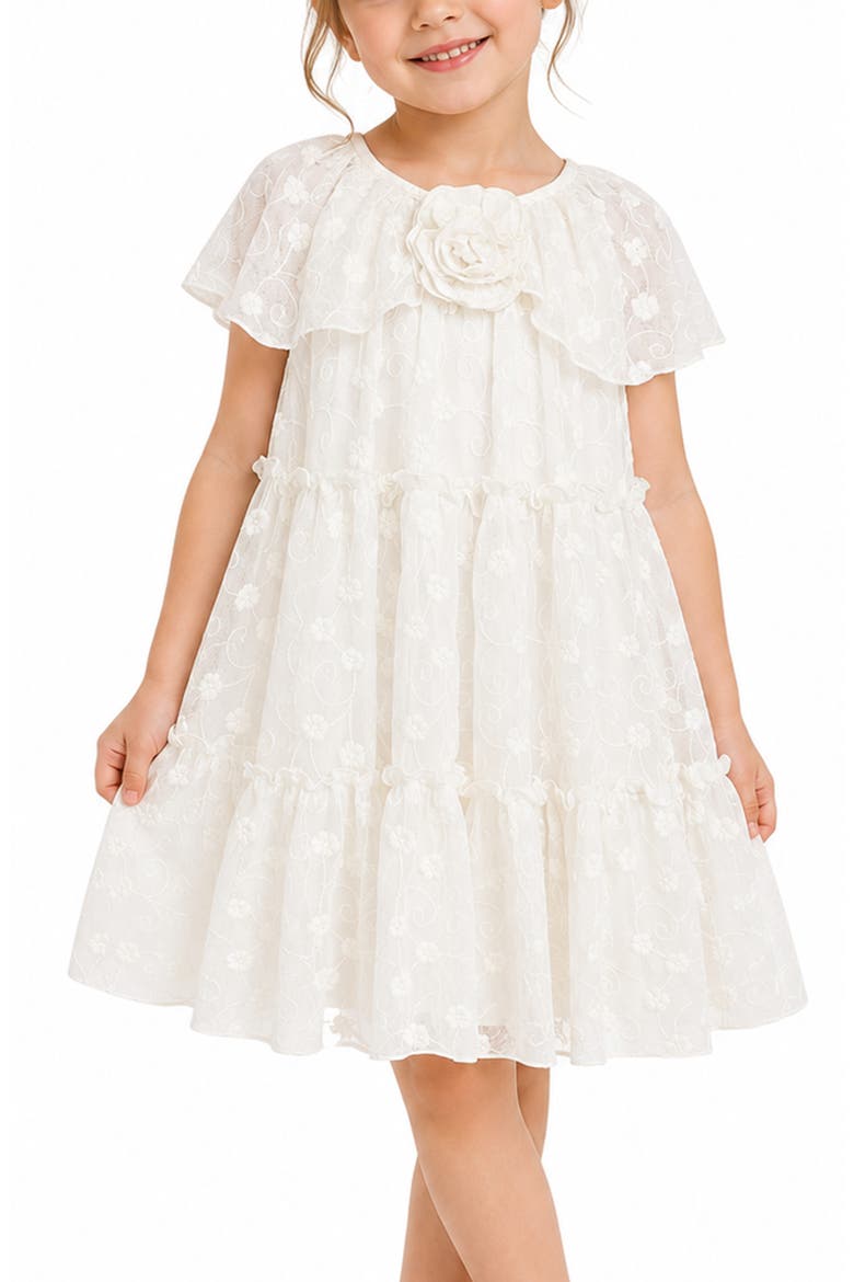 Kids' Embroidered Mesh Tiered Dress, Alternate, color, IVORY