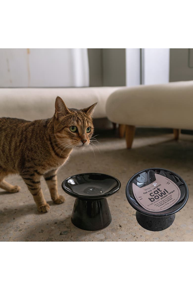Flat Top Ceramic Bowl For Cats Black 7.5oz Capacity, Alternate, color, Black