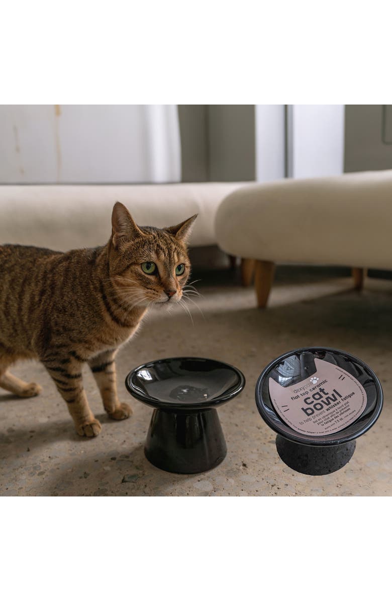 Dexypaws Flat Top Ceramic Bowl For Cats Black 7.5oz Capacity, Alternate, color, Black