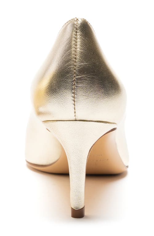 Bruno Magli Tina Pointed Toe Pump In Gold