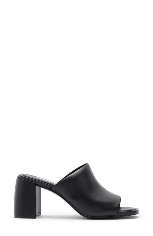 Steve Madden Ammanda Mule In Black