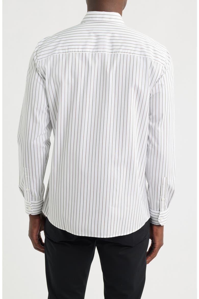 Stripe Regular Fit Cotton Button-Up Shirt, Alternate, color, WHITE BASE SENECA ROCK STRIPE
