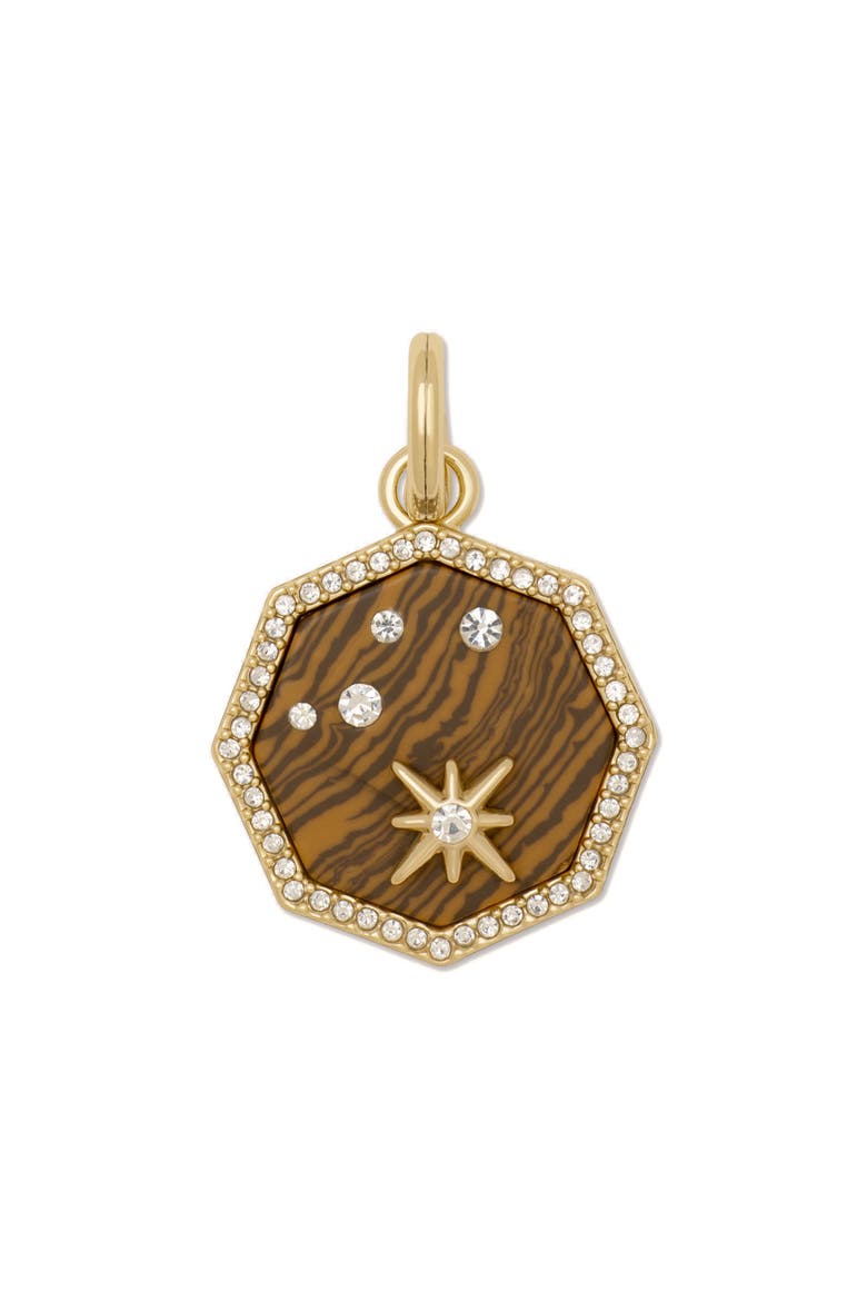 Celestial Tiger Eye Charm, Main, color, TIGERS EYE