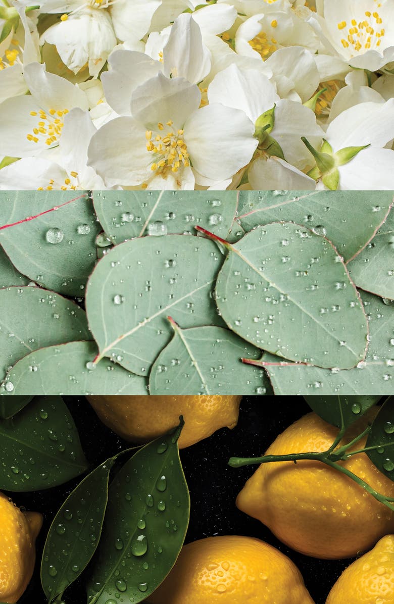 BADGLEY MISCHKA Cap d'Antibes Extrait de Parfum Twist & Spray Travel Set (Nordstrom Exclusive) $100 Value, Alternate, color, White