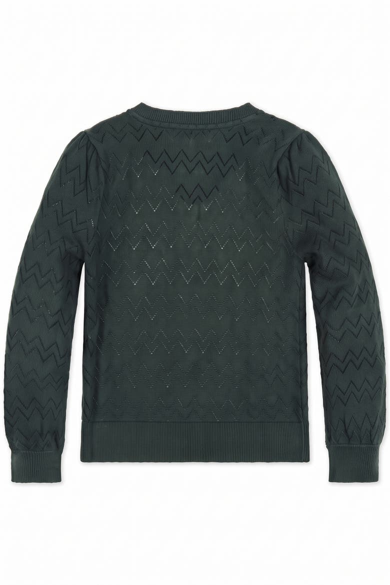Kids' Organic Puff Sleeve Henley Sweater, Alternate, color, Deep Green